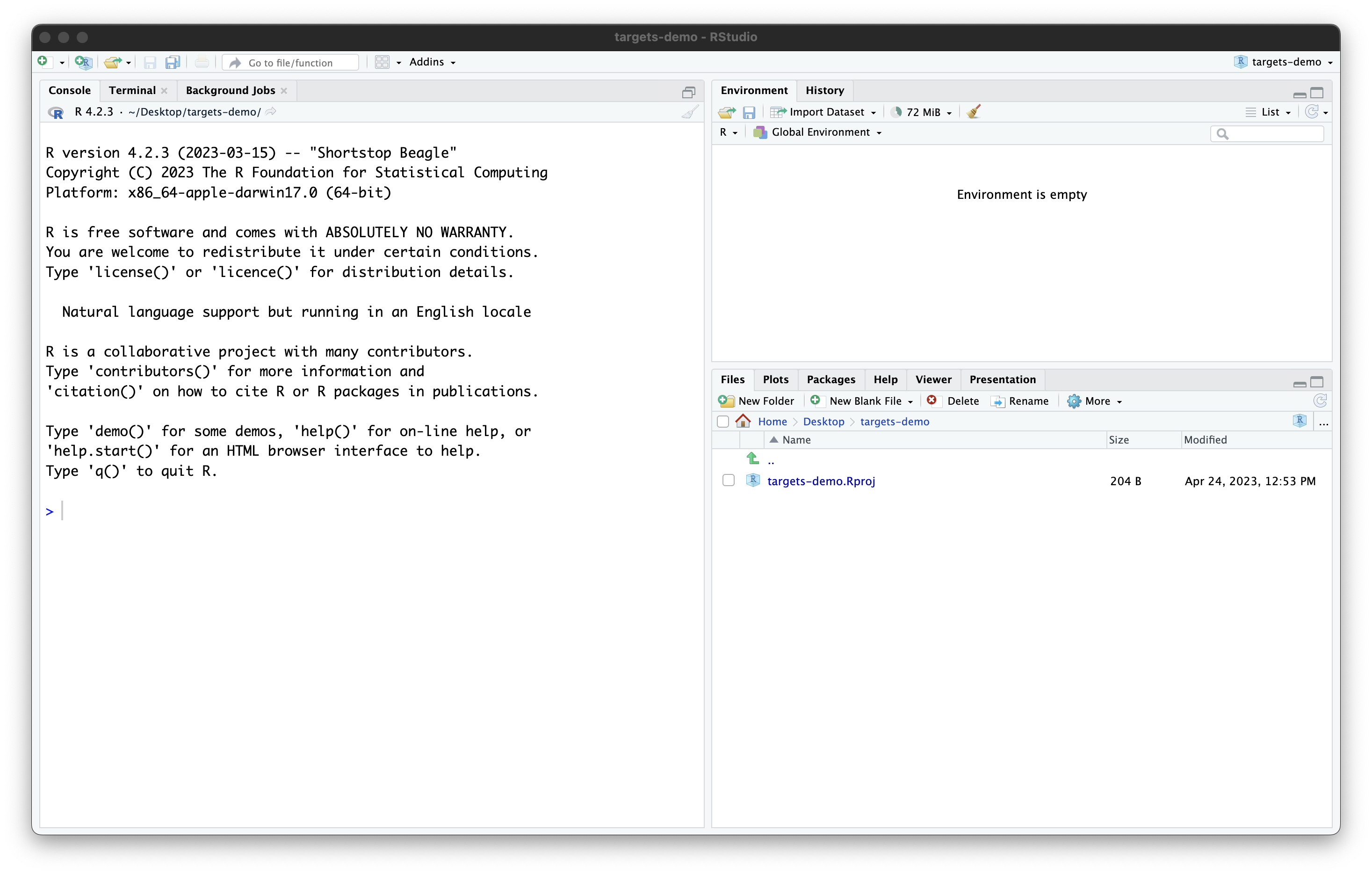 Screenshot of RStudio with a newly created project called 'targets-demo' open containing a single file, 'targets-demo.Rproj'